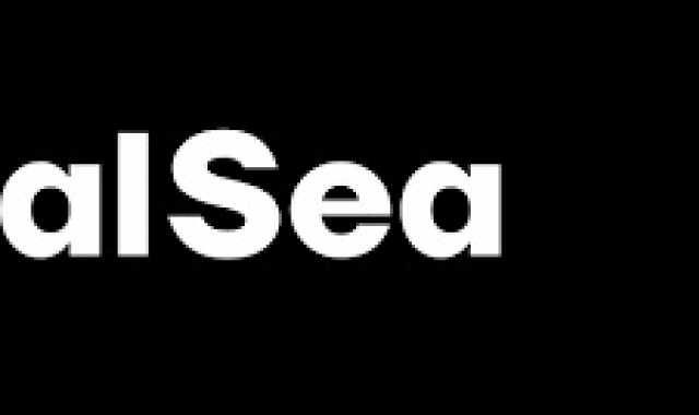 Dalle Monete Virtuali alle Connessioni Reali: Cosa Insegna royalsea sull'Interazione Online